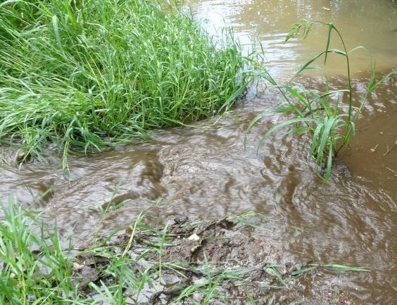 İstanbul'da vatandaşları isyan ettiren görüntü: Zehir akıyor